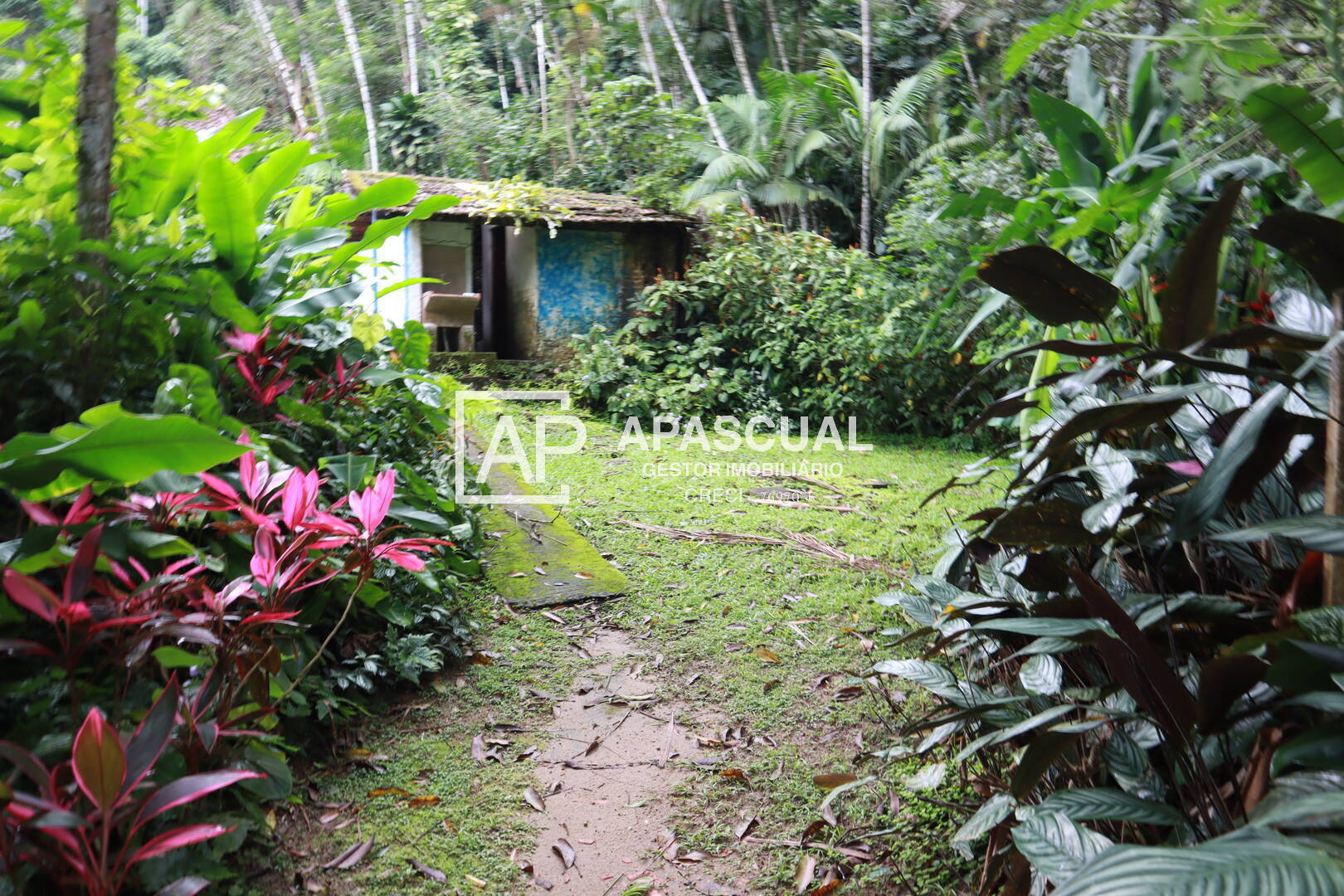 Casa de Condomínio à venda com 3 quartos, 230m² - Foto 13