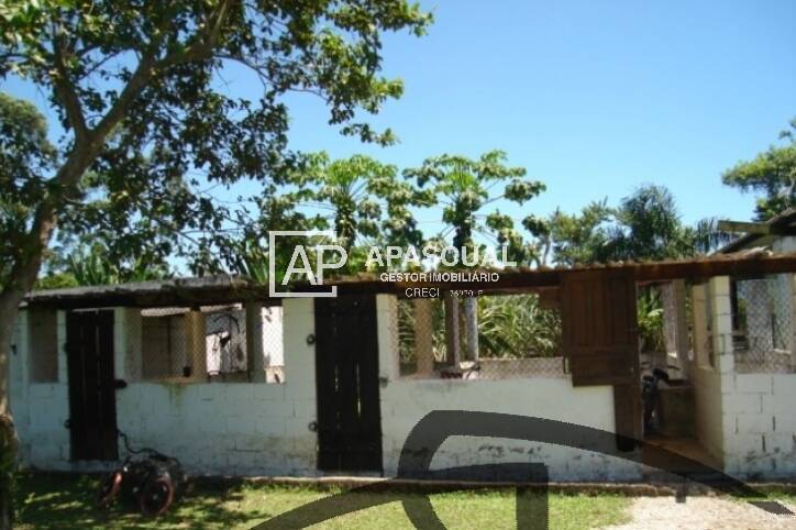 Fazenda à venda com 4 quartos, 3m² - Foto 5